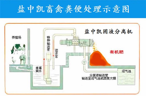 蘑菇视频APP怎么下载安装機